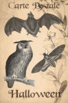 Halloween Vintage Moth Postcard