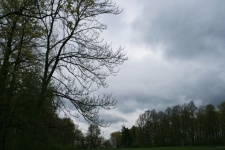 Heavy Clouds Over A Park