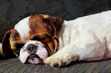 Dog, Pet, Puppy, Oil Painting
