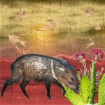 Wart Hog In The Desert