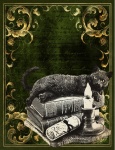 Green Gothic Cat On Books