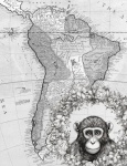 Map Of Africa With Monkey