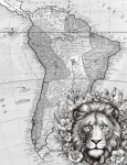 Map Of Africa With Lion
