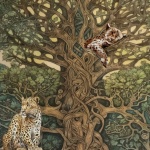 Leopards In Tree In Jungle