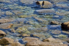 Sea Water Over Mossy Rocks