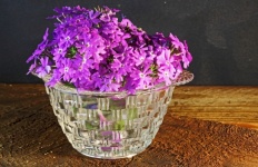Purple Verbena In A Glass Bowl