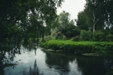 River, Shore, Thickets, Overcast