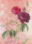 Rose Vintage Floral Background
