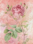 Rose Vintage Floral Background