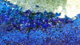 Smashed Blue Glass 03