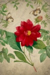 Vintage Floral Art Postcard