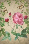 Vintage Floral Roses Postcard