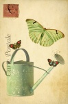 Vintage Butterfly Art Postcard