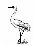 Vintage Crane Illustration Clipart