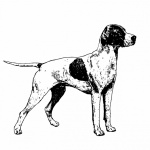 Vintage Dog Illustration Clipart