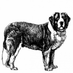Vintage Dog Illustration Clipart