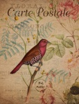 Vintage Floral Bird Postcard