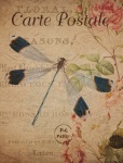Vintage Floral Dragonfly Postcard