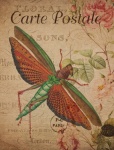 Vintage Floral Dragonfly Postcard