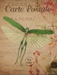Vintage Floral Grasshopper Postcard