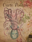 Vintage Floral Octopus Postcard