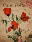 Vintage Floral Poppies Postcard