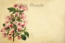 Vintage Flowers Art Postcard