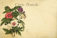 Vintage Flowers Art Postcard