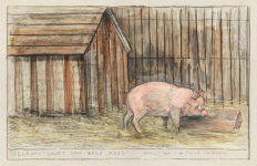 Vintage Illustration Pig Piglets