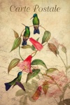 Vintage Hummingbird Birds Flowers