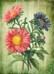 Vintage Art Flowers Illustration