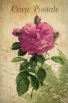 Vintage Art Floral Rose