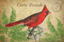 Vintage Art Cardinal Bird