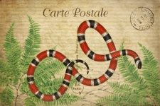 Vintage Art Card Snake