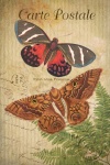 Vintage Art Card Butterflies