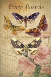 Vintage Art Card Butterflies