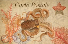 Vintage Art Postcard Octopus