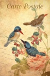 Vintage Art Postcard Bird