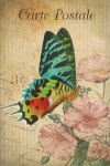 Vintage Art Butterfly Card