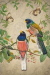 Vintage Art Bird Couple