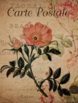 Vintage Rose Floral Postcard