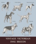 Vintage Victorian Dogs Art