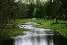 Water Stream In Gardens At Pushkin