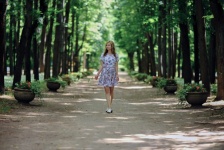 Woman, Forest, Alley, Park, Walk