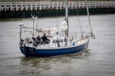 Sailboat, Sailing, Marina