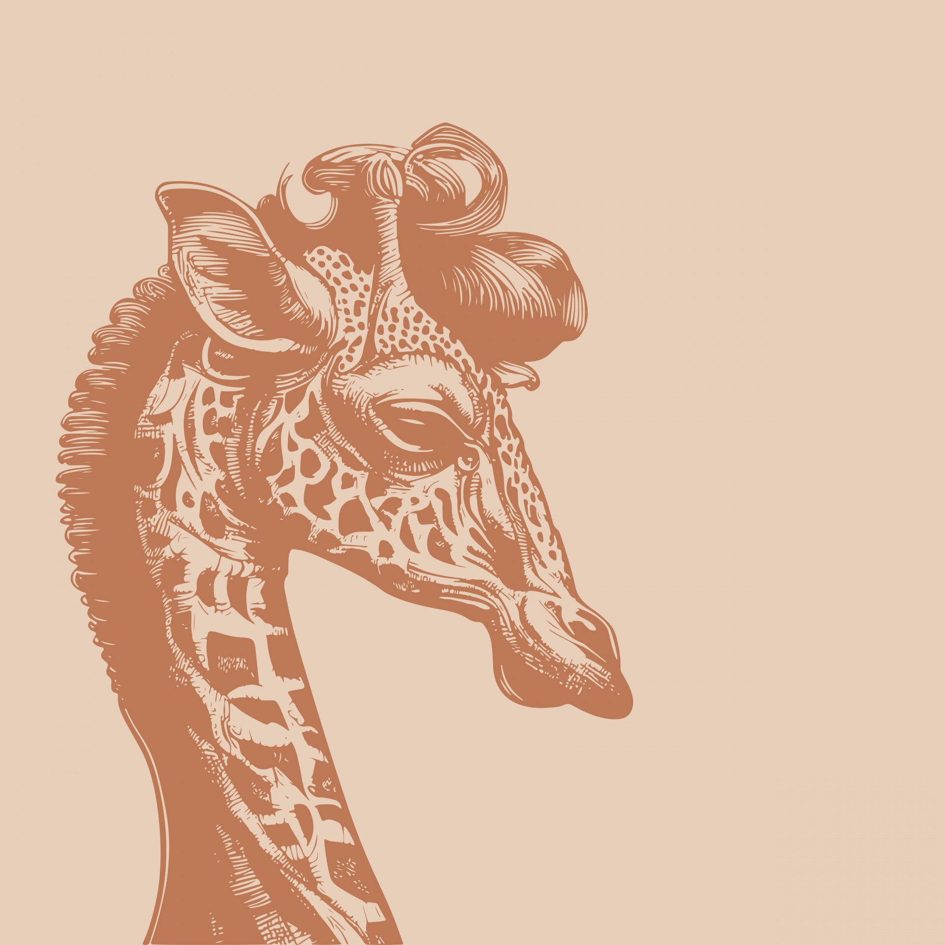 Vintage Giraffe Art Illustration