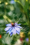 Flower, Digital Painting, Flora
