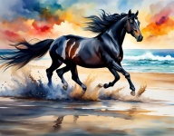 Horse Galloping On Beach