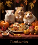 Thanksgiving Hamster Illustration