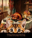 Funny Thanksgiving Cat
